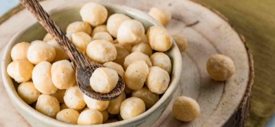Macadamia Nüsse: Eigenschaften, Sorten, Nährwerte und wo sie zu finden sind.