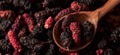 Wie viele Maulbeeren pro Tag?