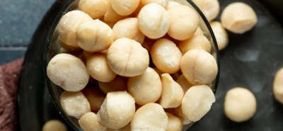 Macadamia Nüsse Eigenschaften