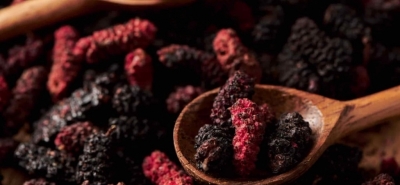 Maulbeeren: Eigenschaften, Sorten, Nährwerte und wo sie zu finden sind