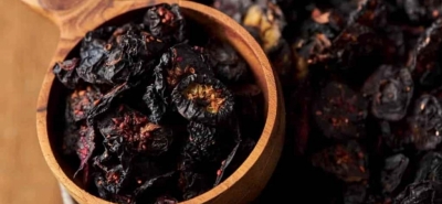 Blaubeeren: Eigenschaften, Sorten, Nährwerte und wo sie zu finden sind